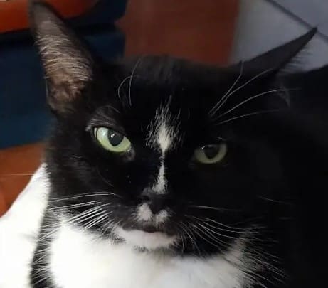 Starla – Hamilton, New Jersey