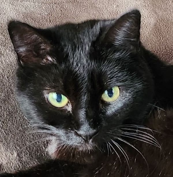 Princess – Lincoln, Nebraska